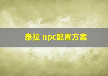 泰拉 npc配置方案